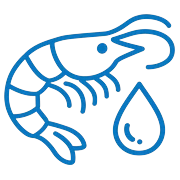 Krill Oil
