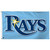 The Tampa Bay Rays flag. This flag has a light blue field and says "Rays" in navy with a blue outline.