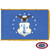 Air National Guard Flag with Gold Fringe