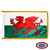 The indoor Wales flag has 3 sides of gold fringe around two horizontal stripes of white and green. In the center is a red dragon. FMAA Certified Made in America seal.