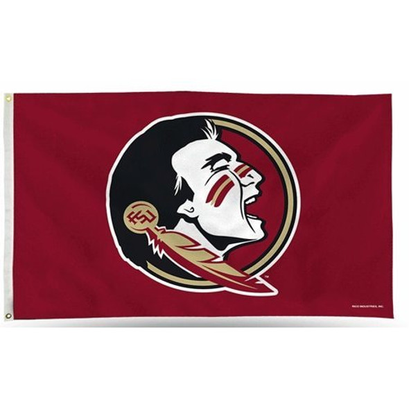 Florida State University Flag