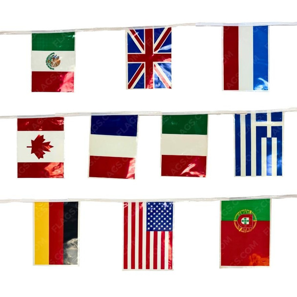 Assorted International Vinyl Pennants