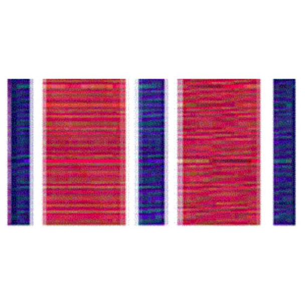A red military streamer with repeating vertical bands of thick dark blue stripes flanked by thin white lines.