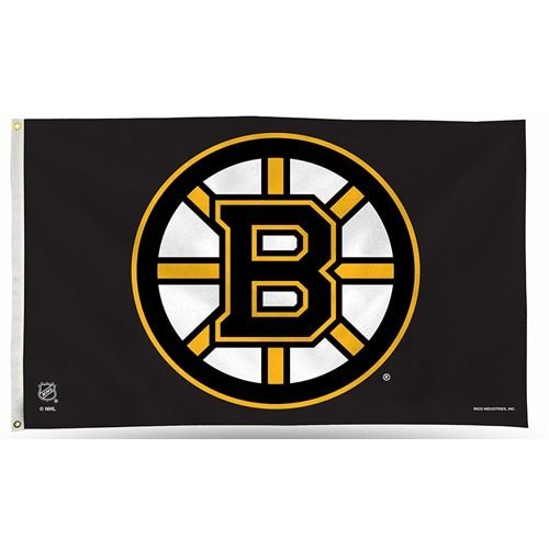 Are The Boston Bruins The Best Team In The NHL