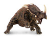 Collecta Styracosaurus