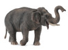 Collecta Asian Elephant