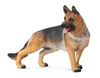 Collecta German Shepherd