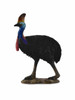 Collecta Cassowary