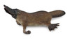 Collecta Platypus