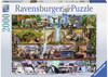 Ravensburger - Wild Kingdom Puzzle 2000 Piece