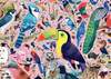Ravensburger - Amazing Birds Puzzle 1000 Piece