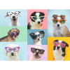 Ravensburger - Funny Dogs Puzzle 150 Piece