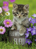 Ravensburger - Kitten Among The Flowers Puzzle 100 Piece