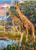 Ravensburger - Giraffes in Africa Puzzle 150 Piece