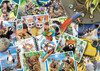 Ravensburger - A Travelers Animal Journal Puzzle 1000 Piece