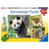 Ravensburger - Panda Lion and Tiger Puzzle 3x49pcs