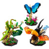 Lego Ideas - The Insect Collection