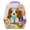 Little Live Pets My Really Real Puppy - Patches