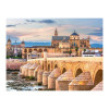 Ravensburger - Cordoba Spain Puzzle 1500 Piece