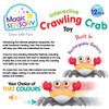 Magic Sensory - Interractive Orange Crawling Crab