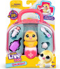 Little Live Pets Ouchies - Chirpy