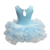Disney Frozen Elsa Fashion Tutu Size 3-4
