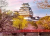 Ravensburger - Himeji Catle Japan Puzzle 1000 Piece