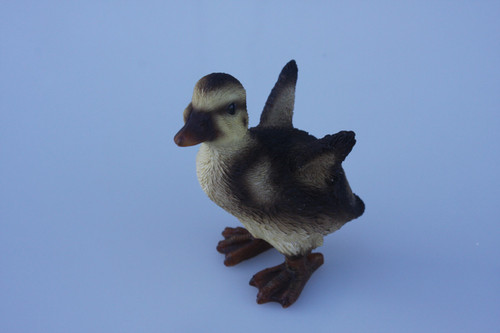 Small Duckling