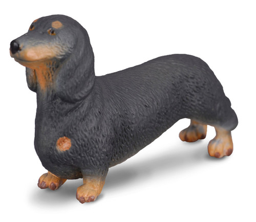 Collecta Dachshund 