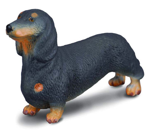 Collecta Dachshund 