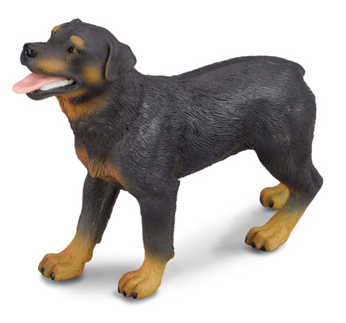 Collecta Rottweiler 