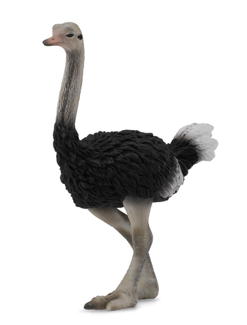 Collecta Ostrich