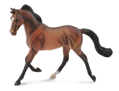 Collecta Thoroughbred Mare Bay
