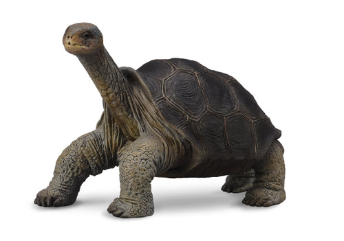 Collecta Tortoise Pinta Island 