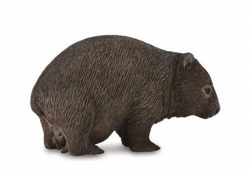 Collecta Wombat Collecta Wombat
