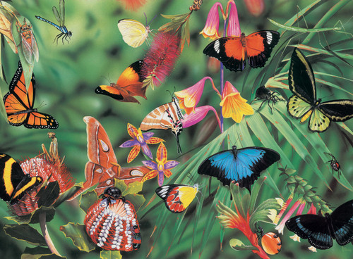 Bopal Wild Aust Butterflies & Beetles Puzzle 100 Pce