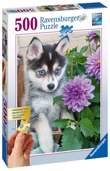 Ravensburger - Cute Husky Puzzle 500 pce