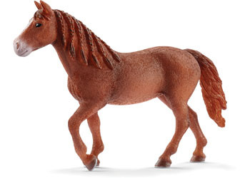 Schleich - morgan horse mare