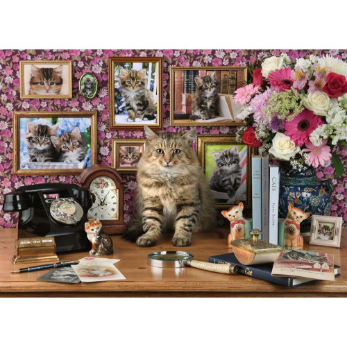 Ravensburger - My Cute Kitty Puzzle 1000 Piece