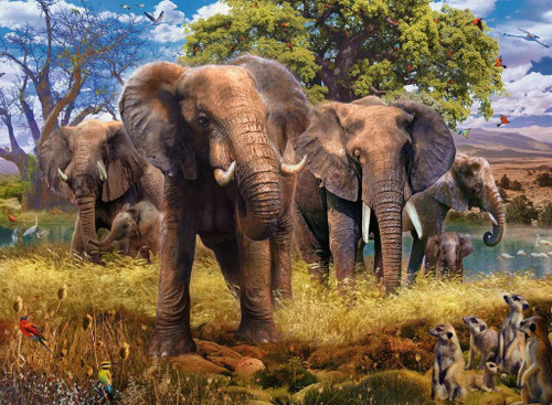 Ravensburger - Elephant Family Puzzle 500 Piece