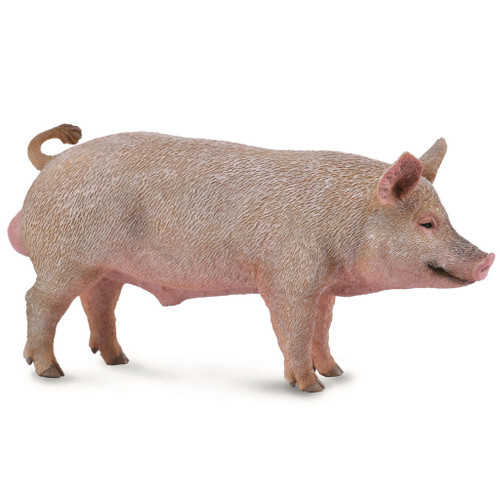 Collecta Boar