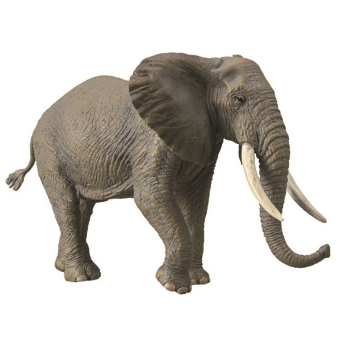 Collecta African Elephant CO88966