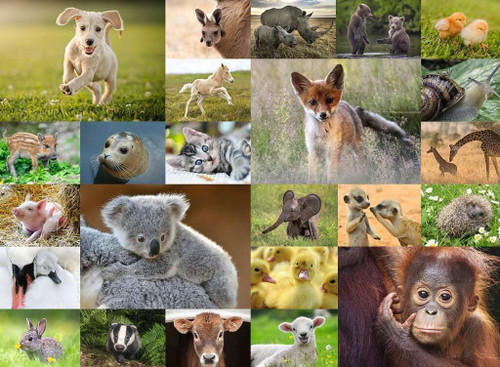 Ravensburger - Cute Animal Babies 200 Piece Puzzle