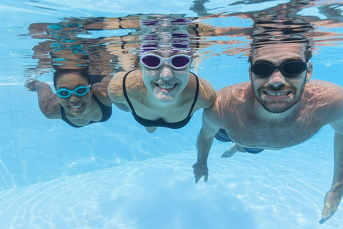 Adult Accelera Goggles Assorted Adult Accelera Goggles Assorted