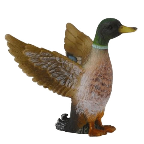 Collecta Mallard Duck Male
