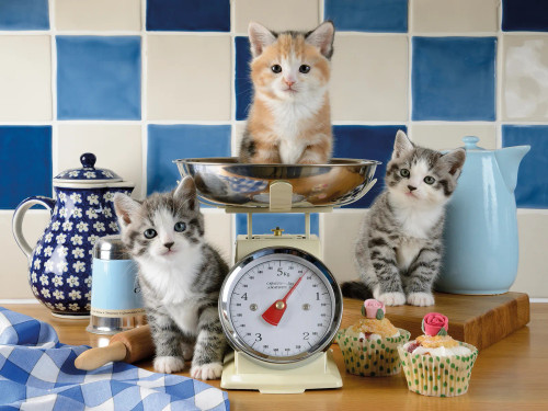 Ravensburger - Kittens in the Kitchen Puzzle 1500 Piece