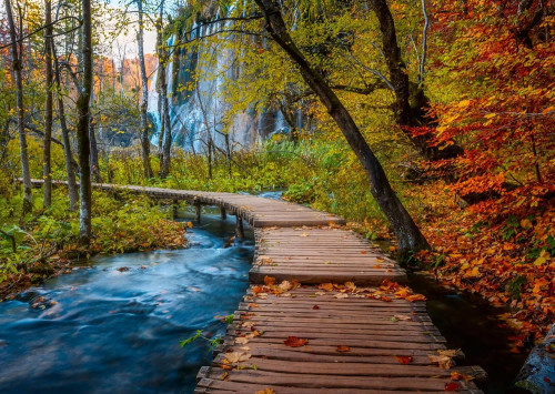 Ravensburger - Autumnal Forest Path Puzzle 1000 Piece