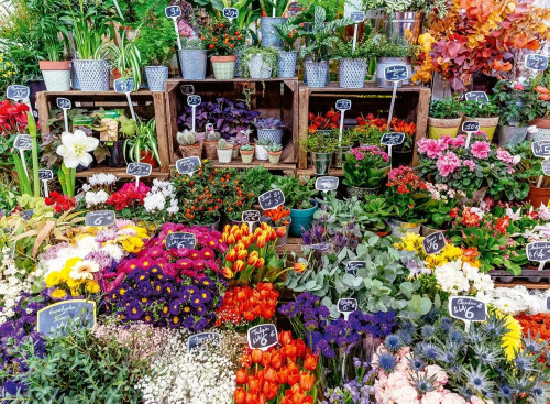 Ravensburger - Flower Market France Puzzle 500 Piece
