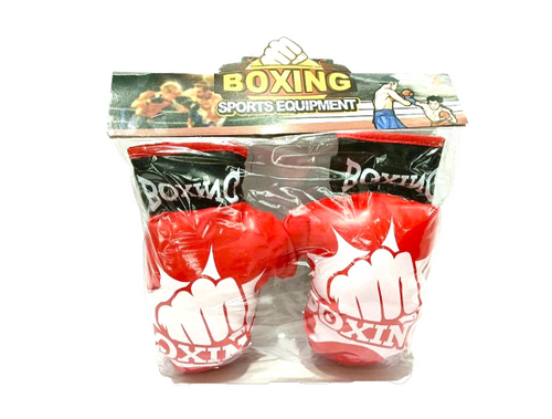 Boxing Gloves Set