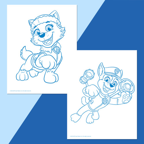 Colour Me Magnets - Paw Patrol Colour Me Magnets - Paw Patrol